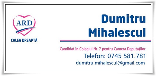 Dumitru Mihalescul colegiul nr 7