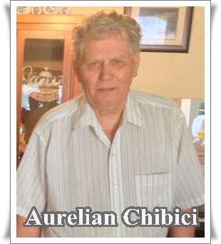 Aurelian Stefan Chibici