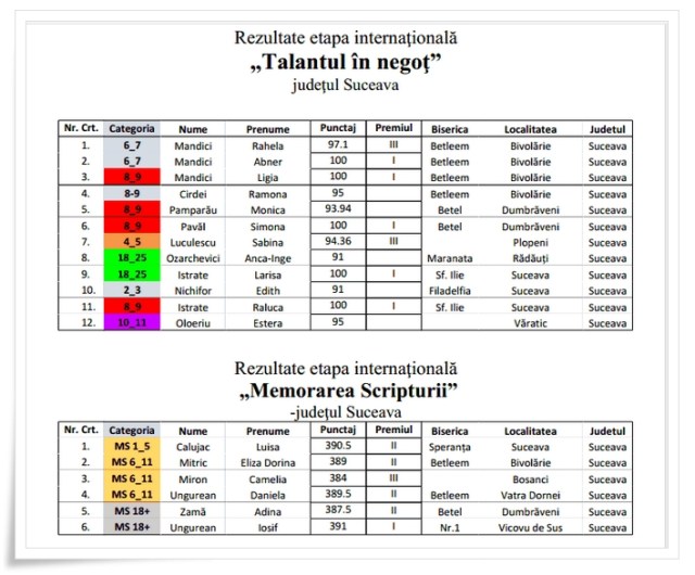 talantul in negot etapa internationala 2013