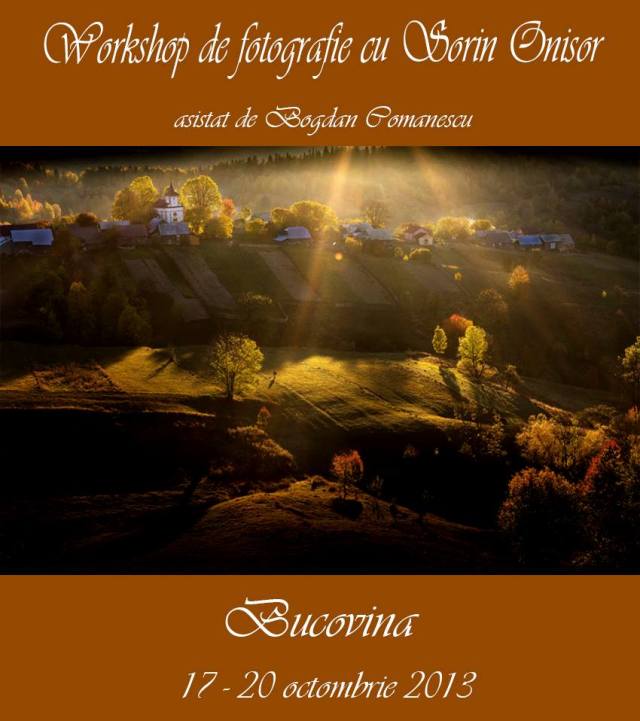 Workshop cu Sorin Onisor