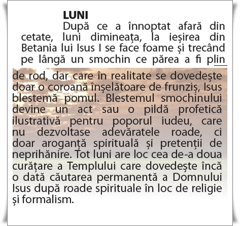 luni saptamana patmilor luni-vert