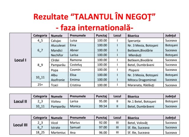 Talantul in negot - faza internationala  2014