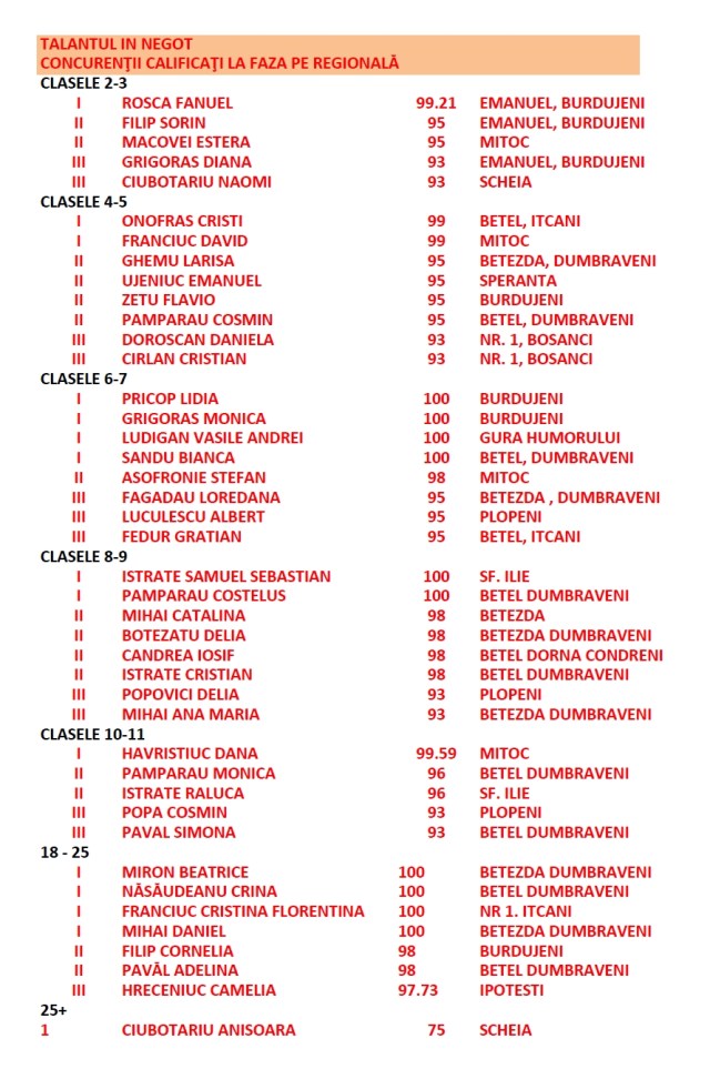 talantul in negot - faza judeteana 2015