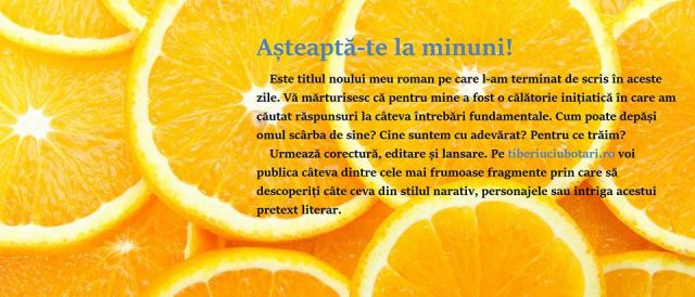 Tiberiu Ciubotari roman 1