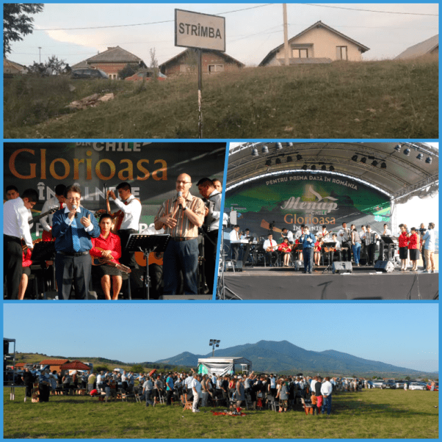 collage Stramba 2017