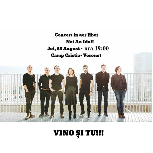 Not An Idol la Voronet.jpg