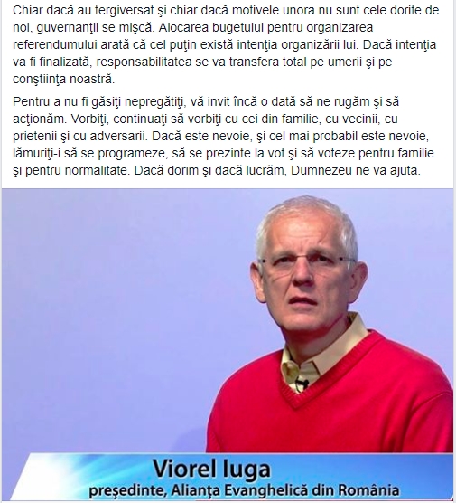 Viorel Iuga Referendum